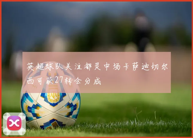英超球队关注都灵中场卡萨迪切尔西可获27转会分成
