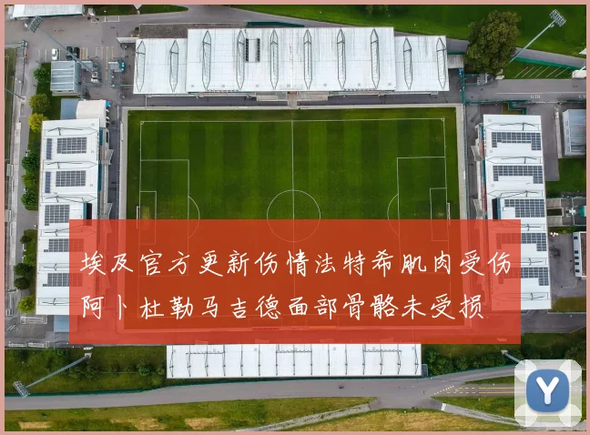 埃及官方更新伤情法特希肌肉受伤阿卜杜勒马吉德面部骨骼未受损