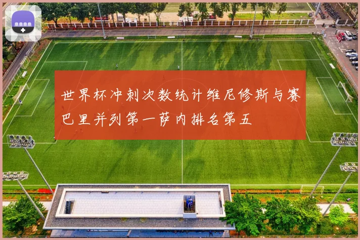 世界杯冲刺次数统计维尼修斯与赛巴里并列第一萨内排名第五